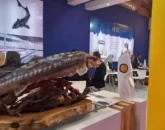 Ifex tehran iran expograd выставка индустрии рыболовства морепродуктов тегеран иран экспоград 03